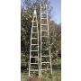 Baldwin Traditional Wooden Apple Ladders