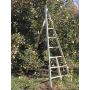 Baldwin Wooden Tripod Apple Ladders