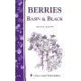 Berries, Rasp & Black