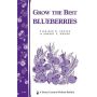 Grow the Best Blueberries