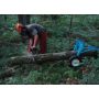 Junior Log Arch