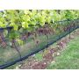 Vineyard Zone Netting